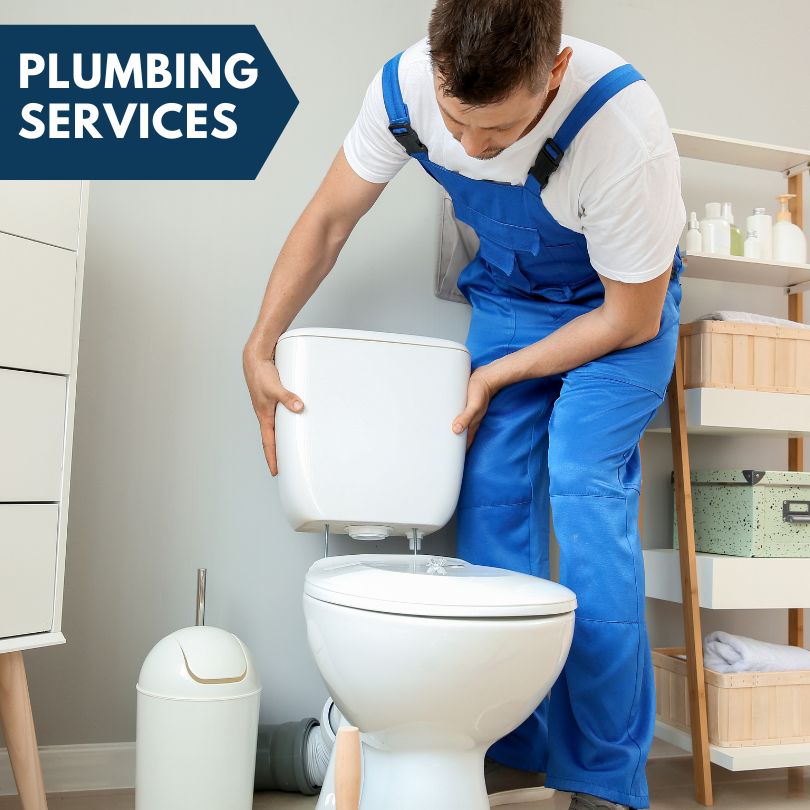 Plumbing Company in Albion, IA